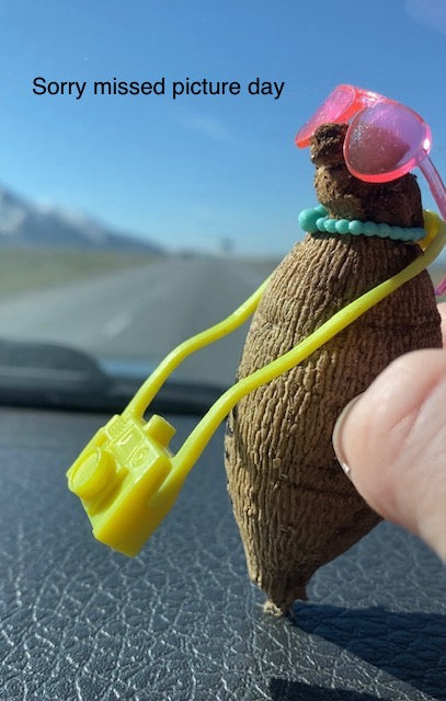 Lakeview Blush - LIMIT ONE -