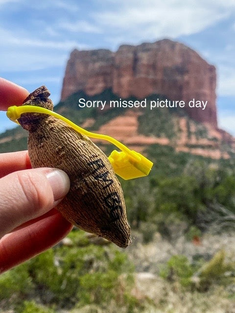 Black Pierre - LIMIT ONE -