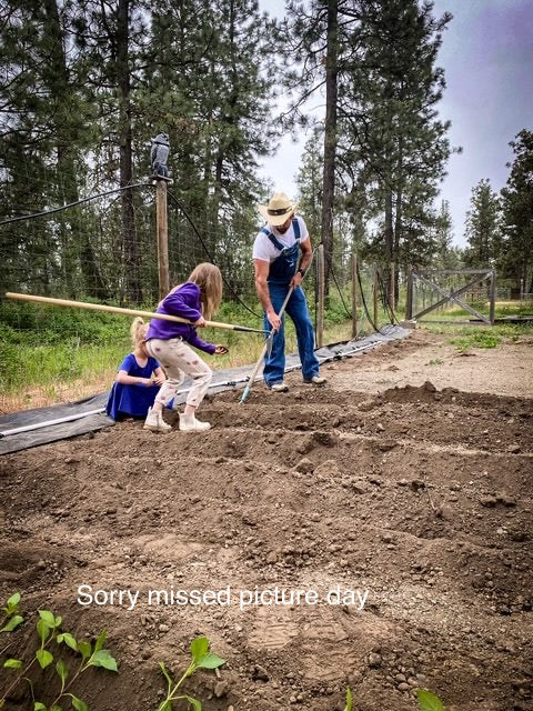 RM Karoline - LIMIT ONE -